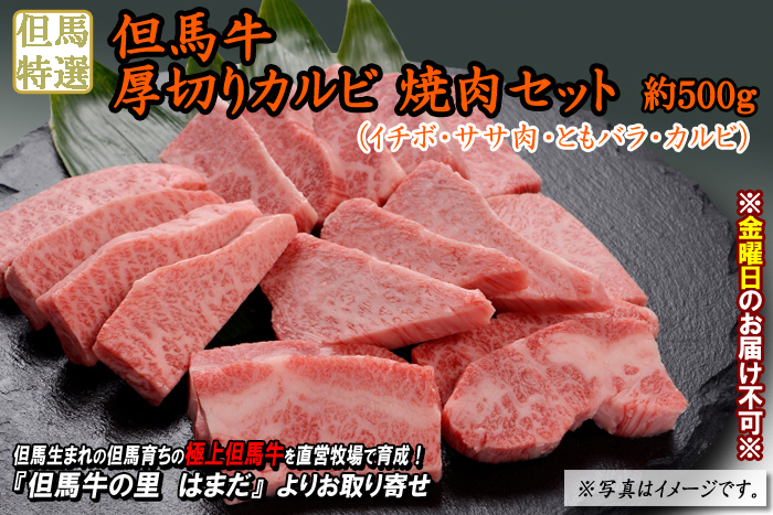 但馬牛　厚切りカルビ焼肉セット　約500g（イチボ・ササ肉・ともバラ・カルビ）＜兵庫県産＞