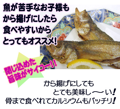 【一夜干しハタハタ】魚が苦手なお子様も〝から揚げ〟にしたら食べやすいからとってもオススメ！　から揚げにしてもとても美味しい！骨まで食べれてカルシウムもバッチリ！