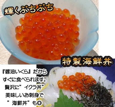 【いくら（醤油漬）】輝くぷちぷち！『醤油いくら』だからすぐに食べられます。贅沢に〝いくら丼〟美味しいお刺身で〝海鮮丼〟も◎