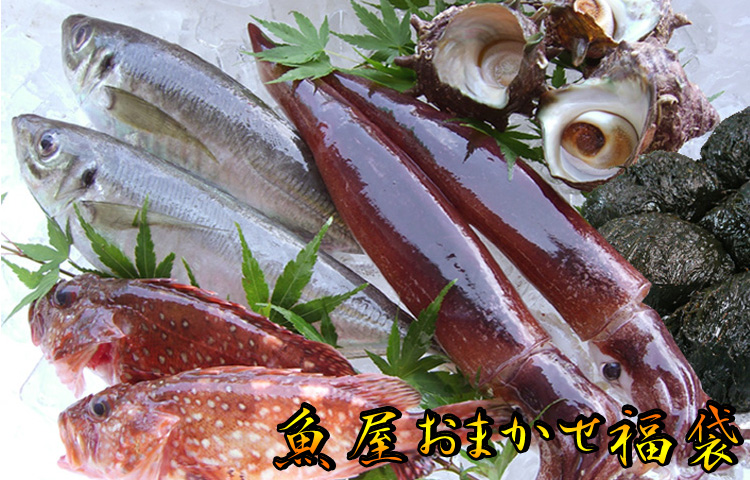 旬の味覚の詰合せ！　魚屋おまかせ福袋（日本海産）