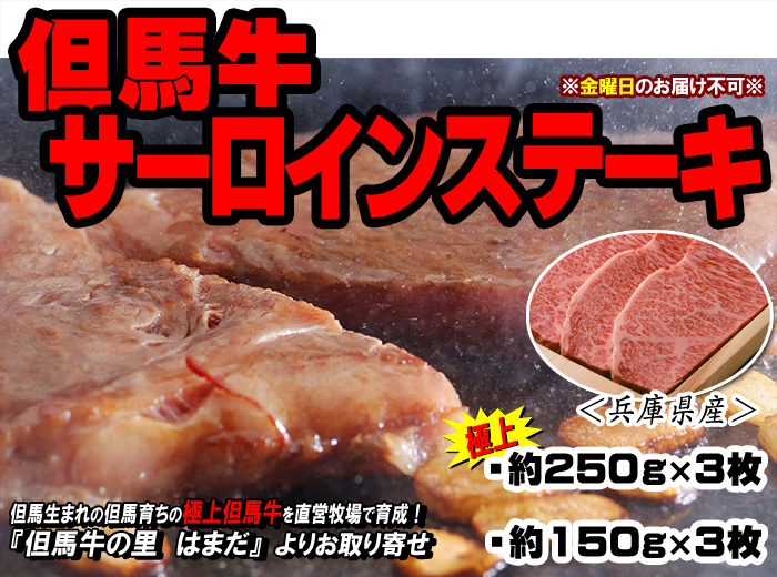 但馬牛　サーロインステーキ【ステーキ用】　約250g×3枚（極上）・約150g×3枚＜兵庫県産＞